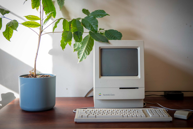 Shared studio space for rent in Wellington Shared studio space for rent in Wellington